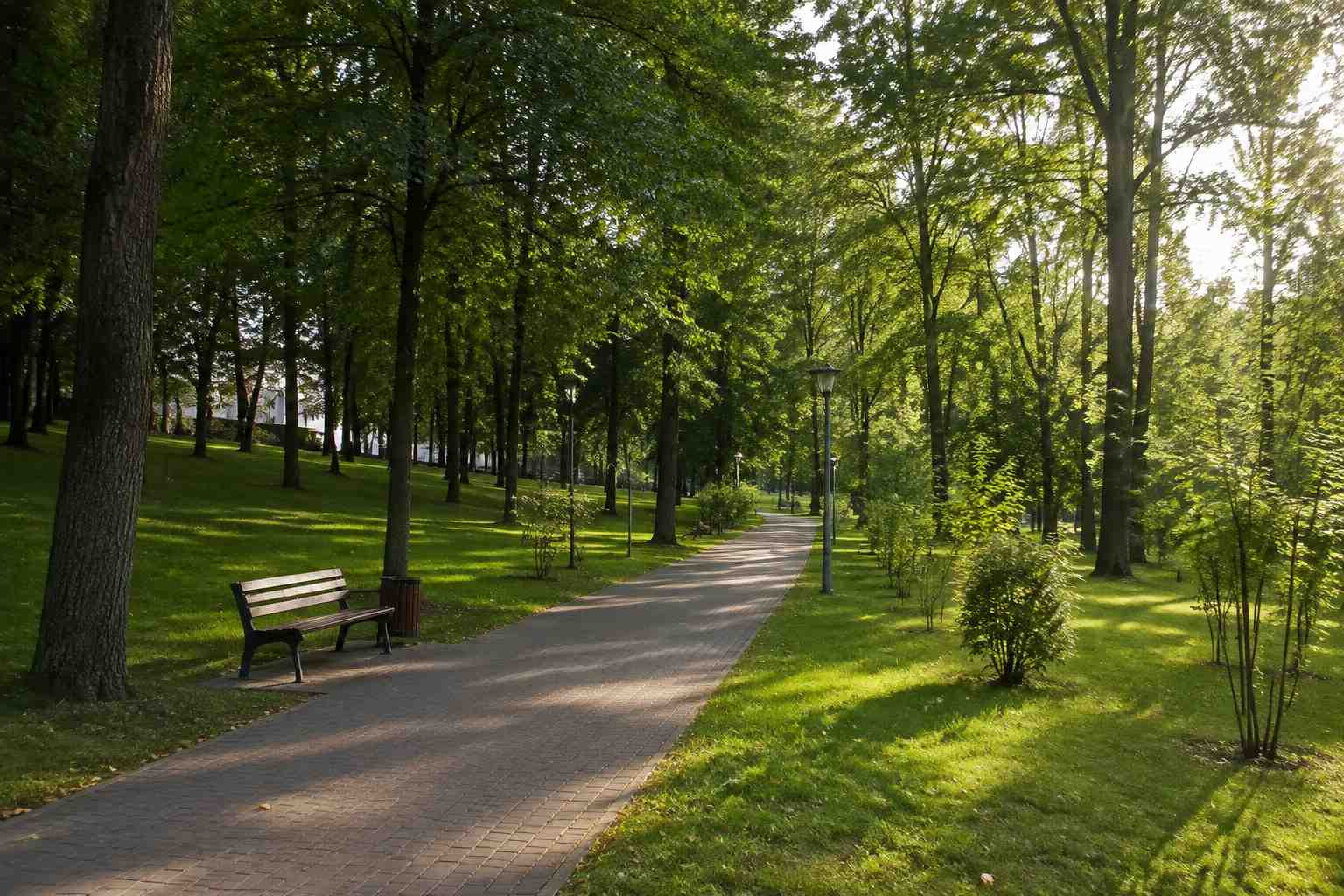 https://kemerovo.blago-s.ru/storage/app/uploads/public/6a7/eef/ed2/6a7eefed2af22038960370.jpg
